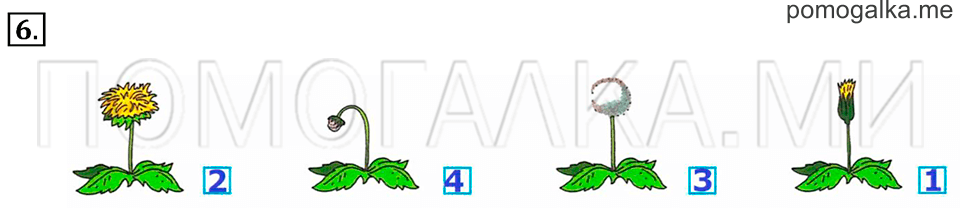 Часть 1. Страница 66-67. Сравнение чисел. Задача №6 — решение 1