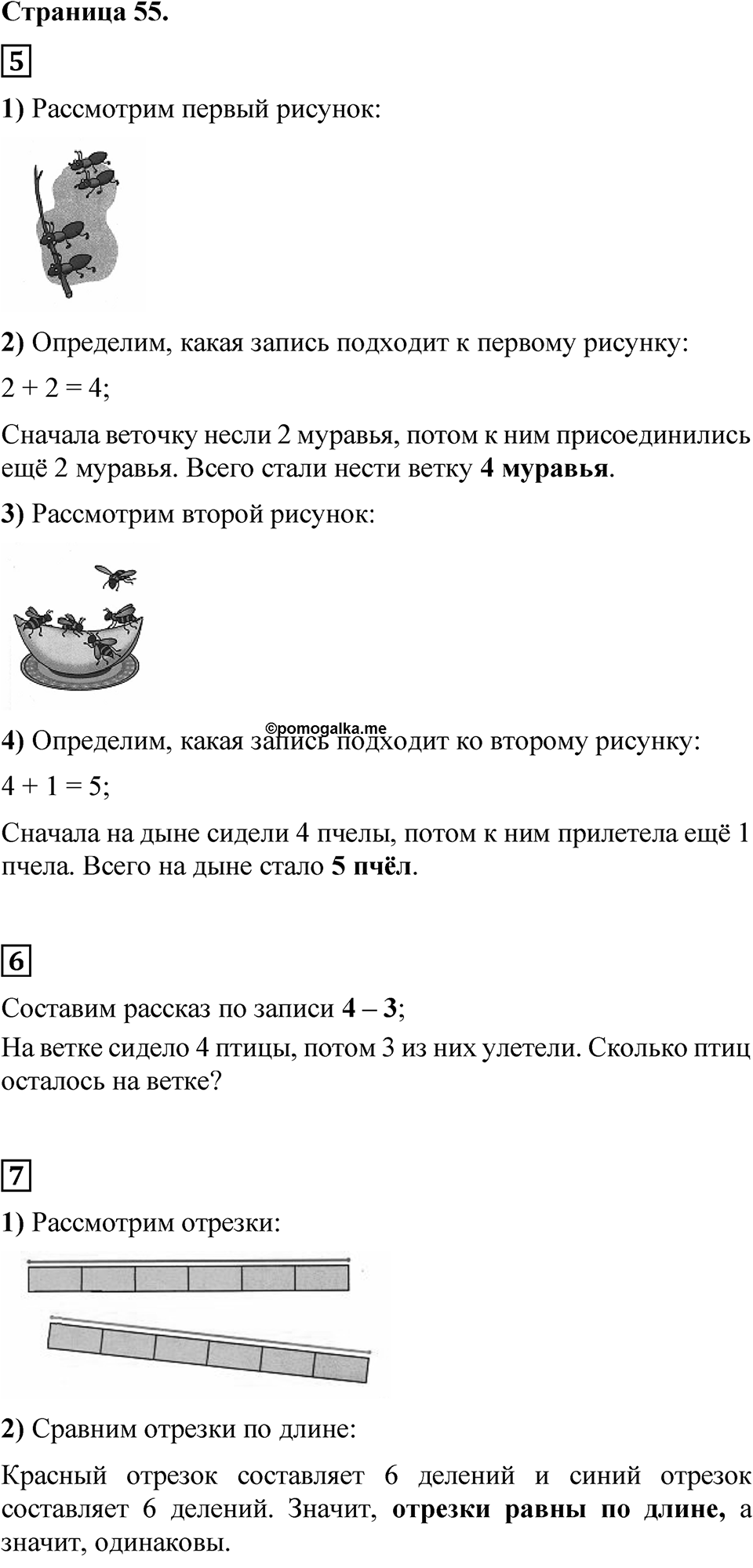 Страница 55 — решение 1