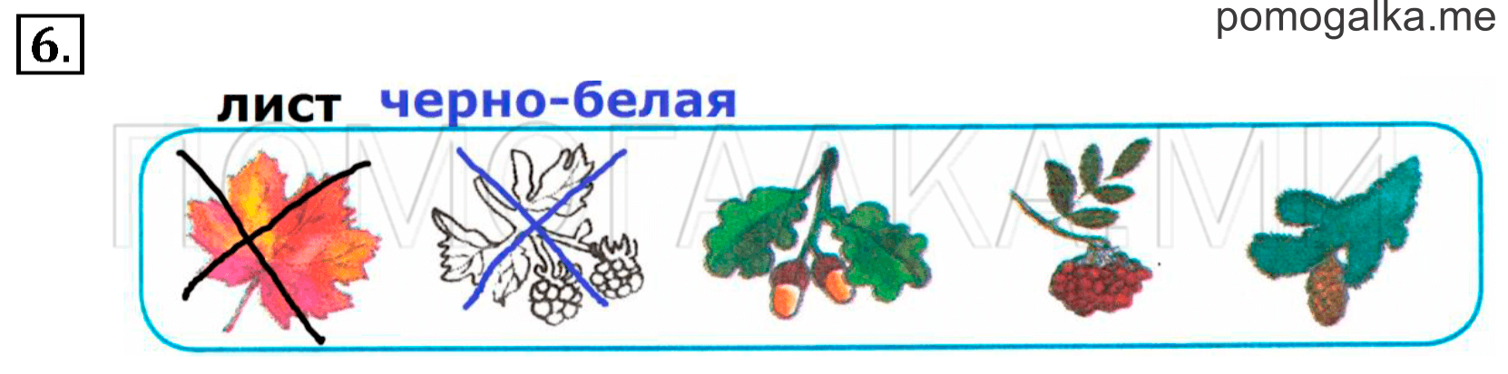 Часть 1. Урок 30. Числа 1 – 5. Задача №6 — решение 1