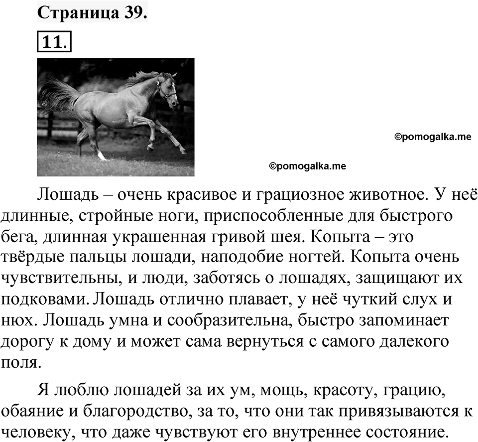 Страница 39 — решение 1