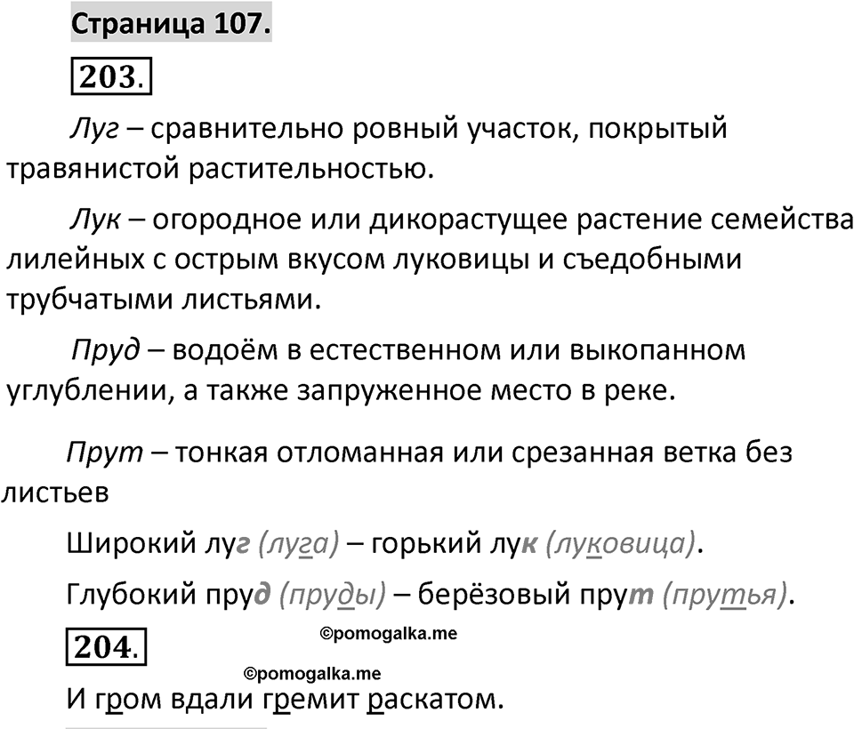 Страница 107 — решение 1