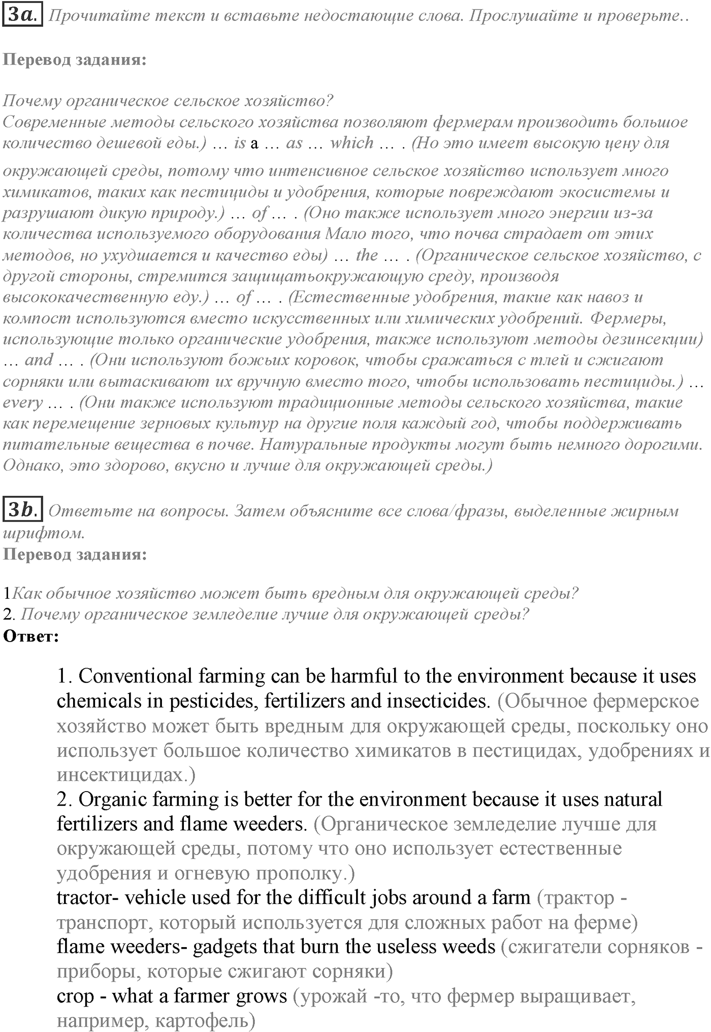 Module 6. Culture corner 6. Задание №3 — решение 1