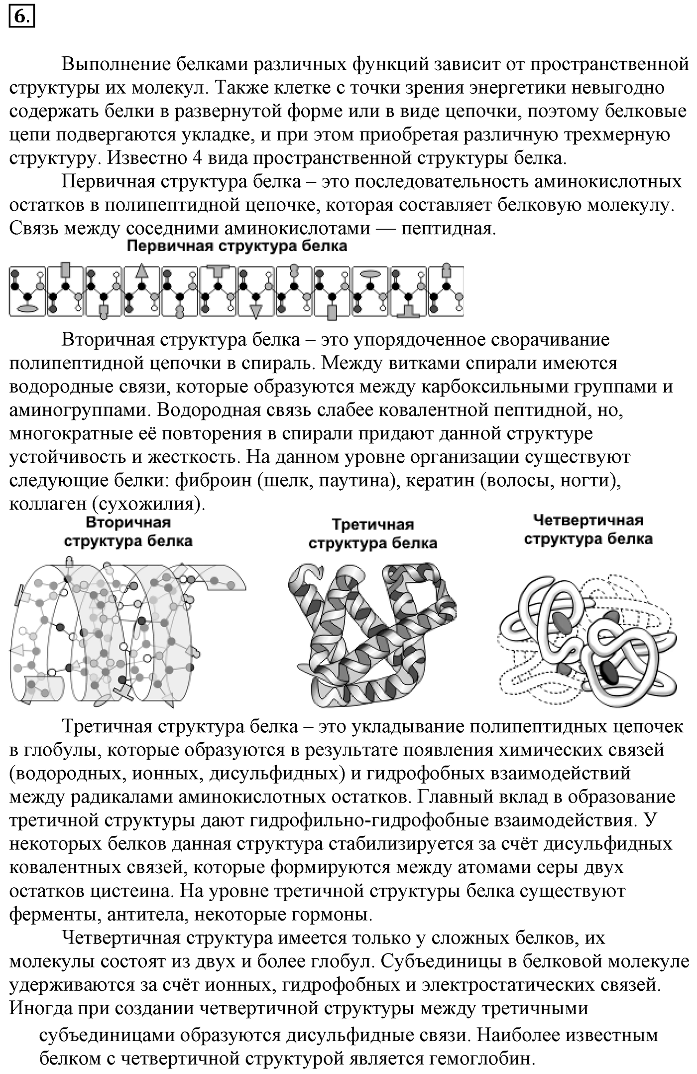 Глава 2. Кислород- и азотсодержащие органические соединения и их природные источники. §17. Аминокислоты. Белки. §17 Задание №6 — решение 1