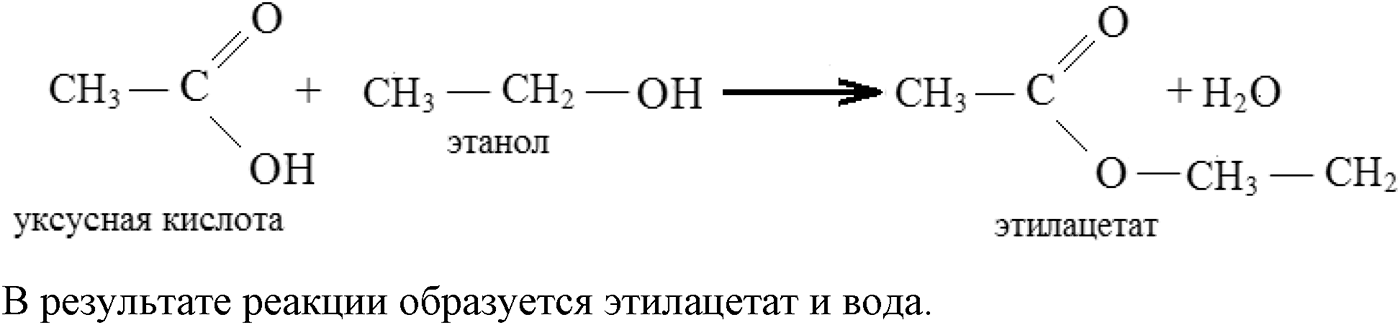 Глава VII. Альдегиды, кетоны и карбоновые кислоты. §29. Сложные эфиры. §29 вопрос №1 — решение 1