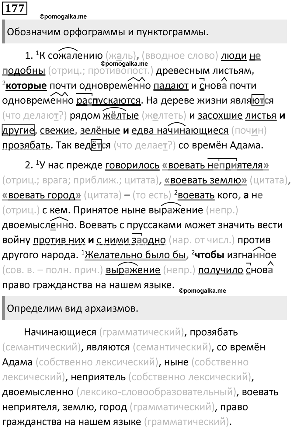 §55. Лексика русского языка с точки зрения активного и пассивного запаса. Упражнение №177 — решение 1