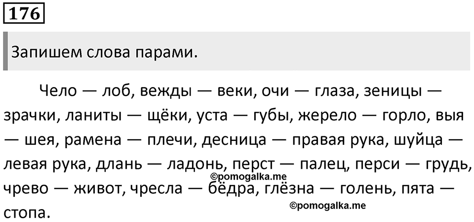 §55. Лексика русского языка с точки зрения активного и пассивного запаса. Упражнение №176 — решение 1