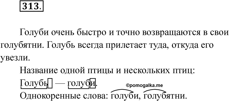 Упражнение 313 — решение 1