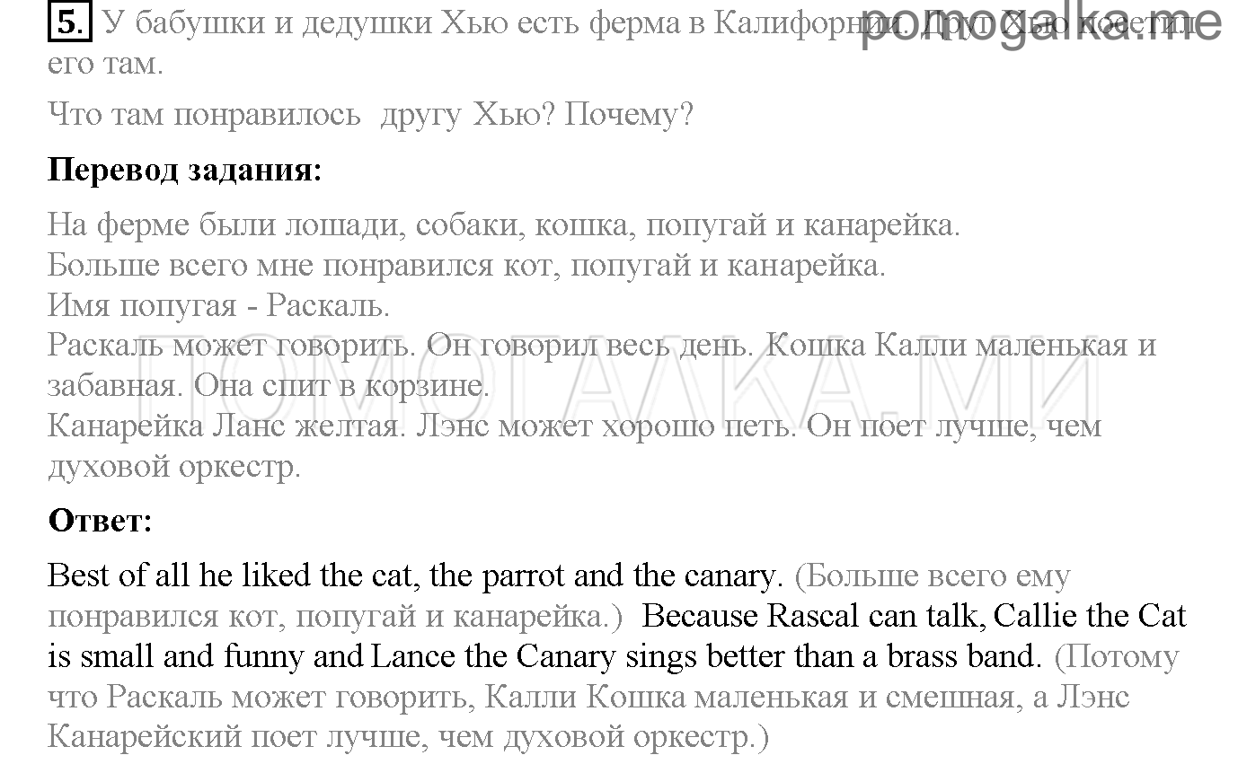 Часть 2. Unit 7. Have you got a pet?. Страница 38. Lesson 3. Задание №5 — решение 1