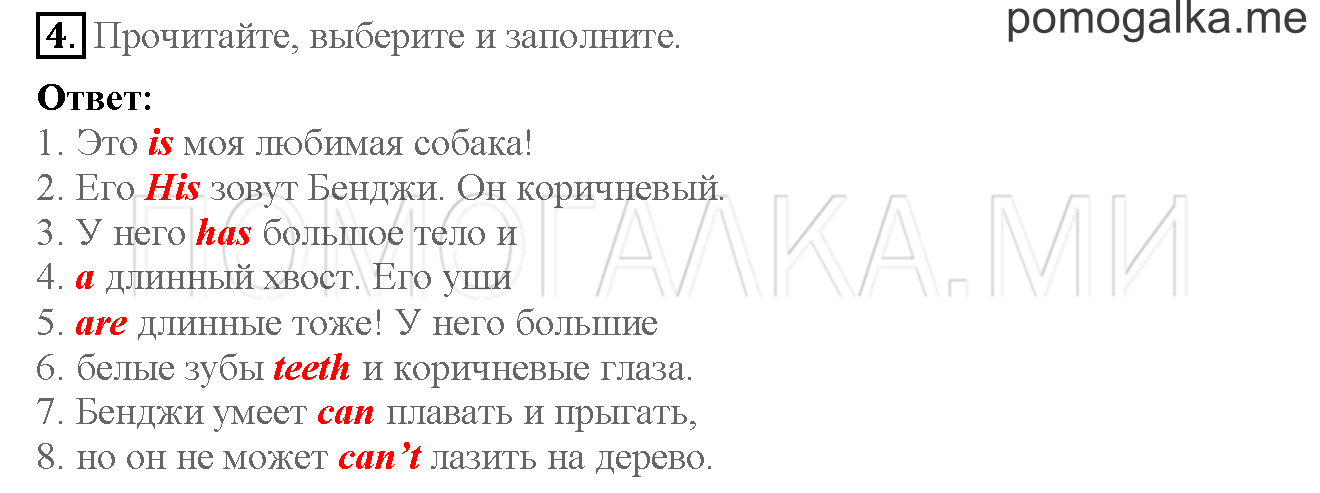 Часть 2. Страница 40-41. 10. Clever animals!. Задание №4 — решение 1