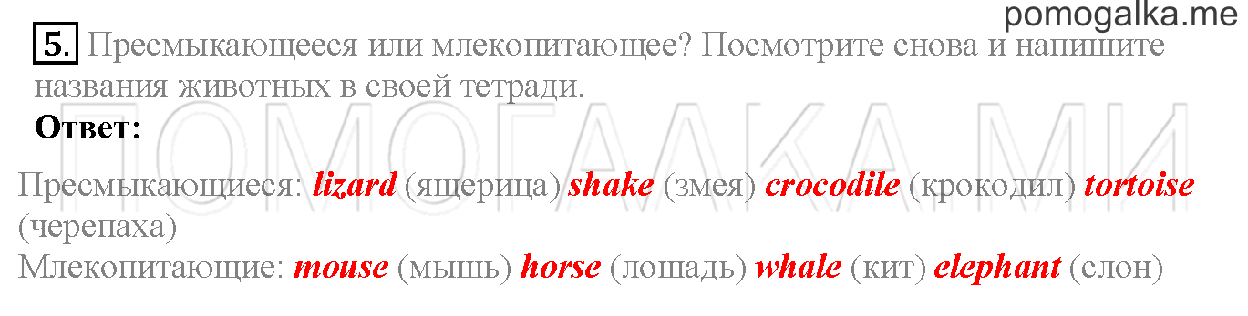 Module 5. Страница 80-81. 10b. Задание №5 — решение 1