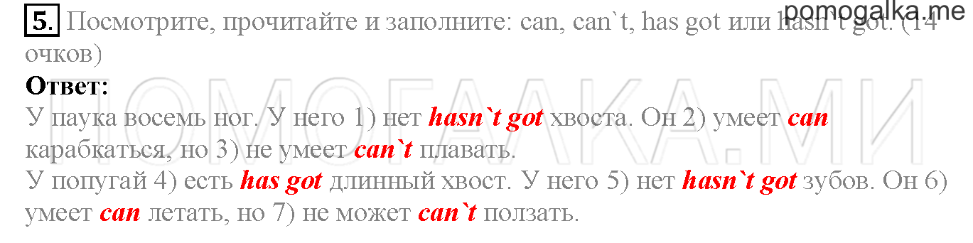 Module 5. Страница 86-87. Now I know. Задание №5 — решение 1