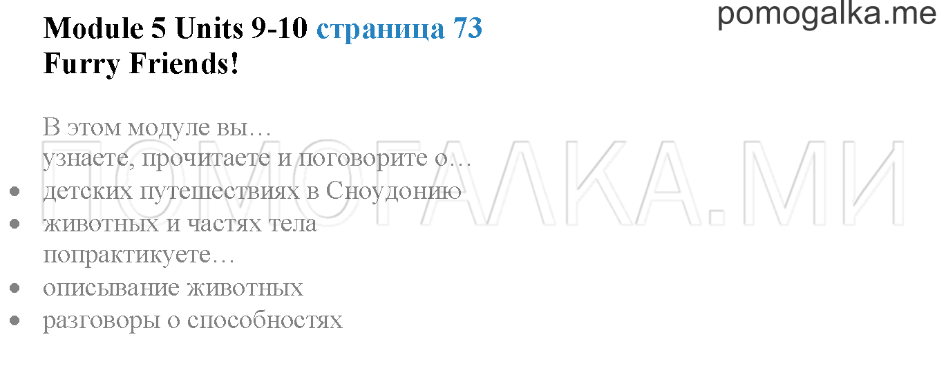 Module 5. Страница 73. Furry friends!. Задание №0 — решение 1