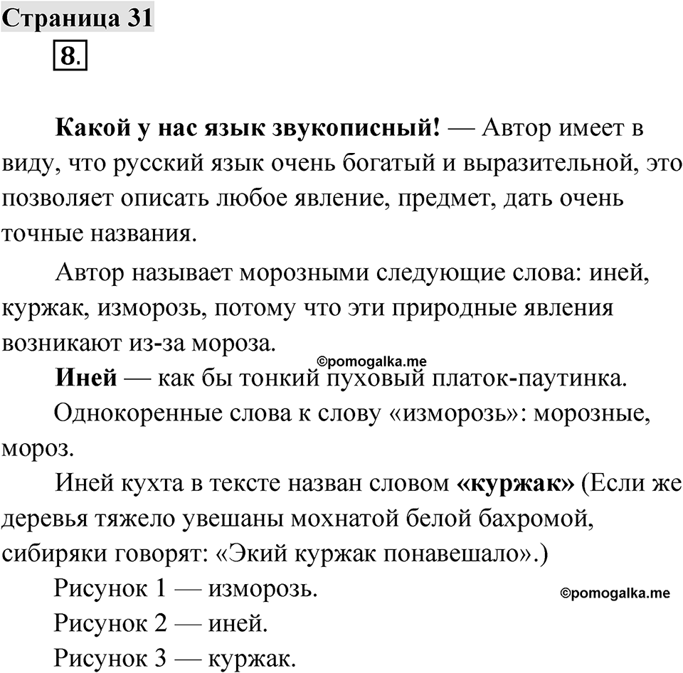 Страница 31 — решение 1