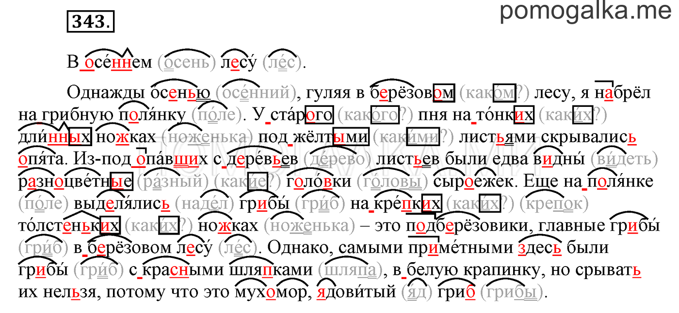 Упражнение №343 — решение 1
