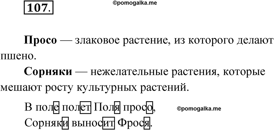 Упражнение 107 — решение 1