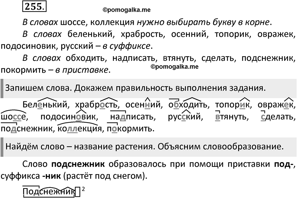 Упражнение №255 — решение 2