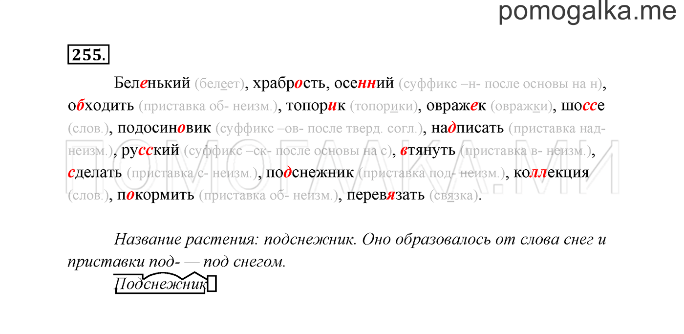 Упражнение №255 — решение 3