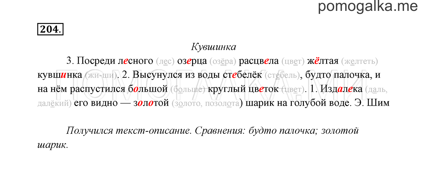 Упражнение №204 — решение 3