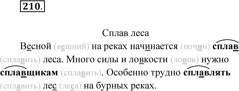 Упражнение 210 — решение 1