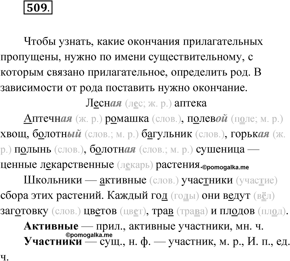Упражнение 509 — решение 1