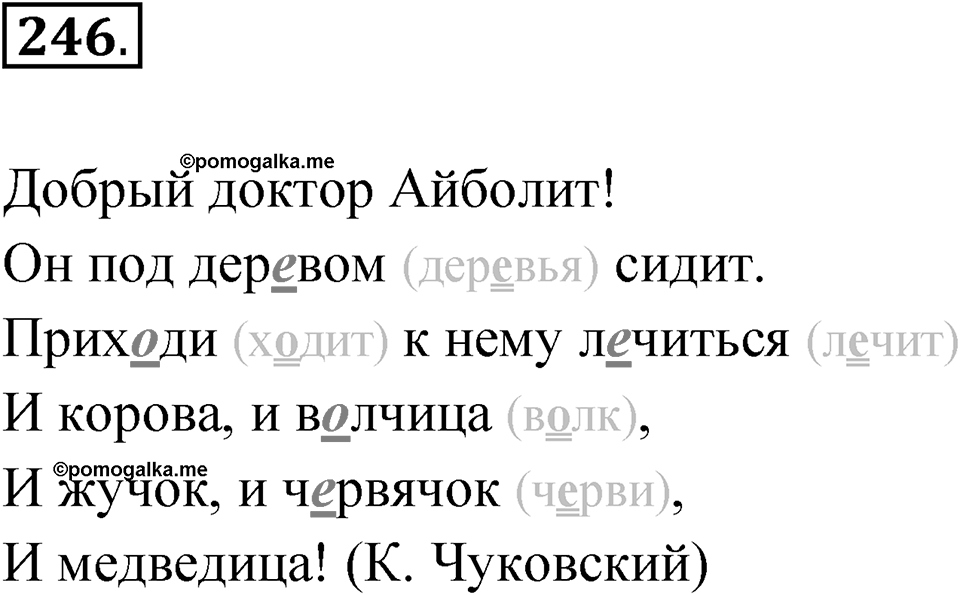Упражнение 246 — решение 1
