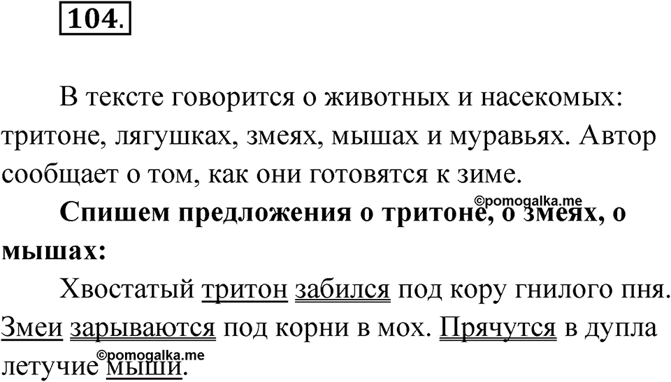 Упражнение 104 — решение 1