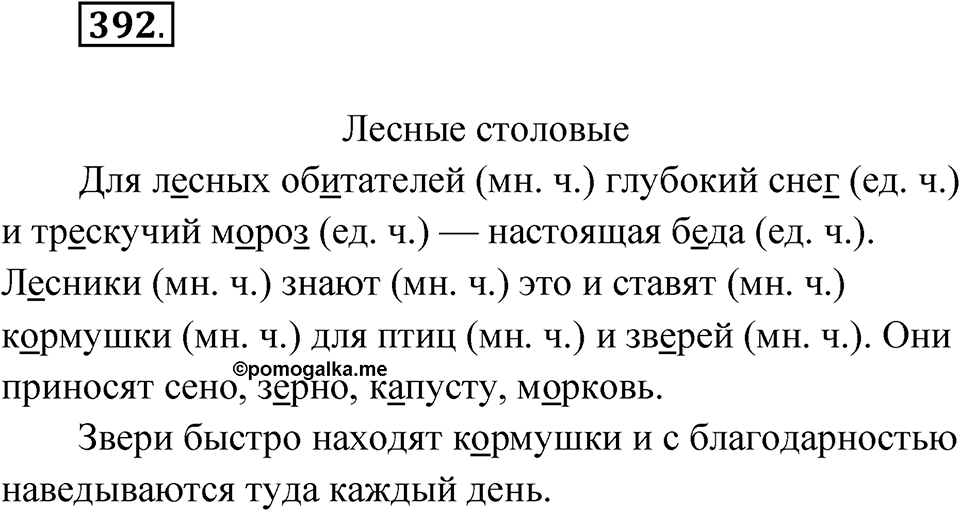 Упражнение 392 — решение 1
