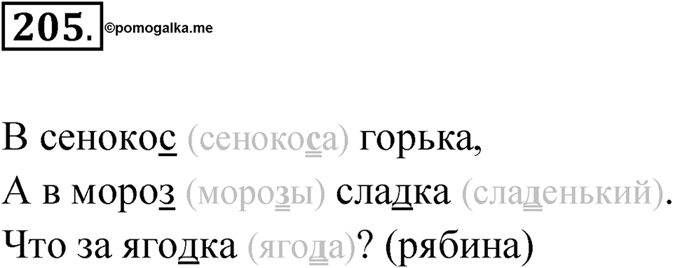 Упражнение 205 — решение 1