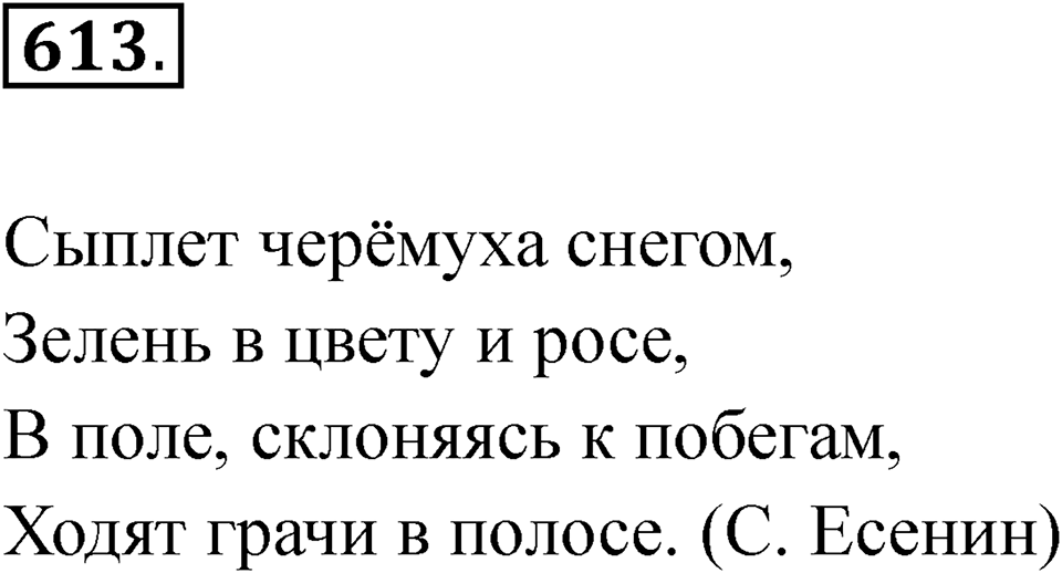 Упражнение 613 — решение 1
