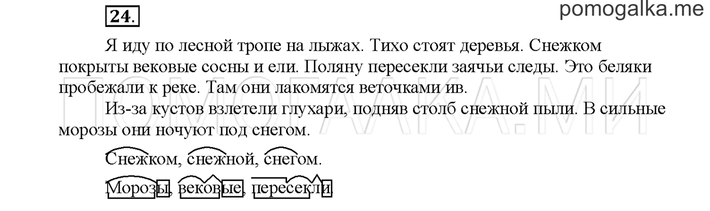 Упражнение №24 страница 96 — решение 1