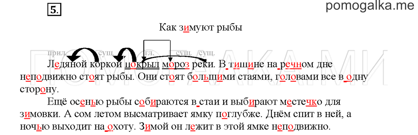 Упражнение №5 страница 83 — решение 1