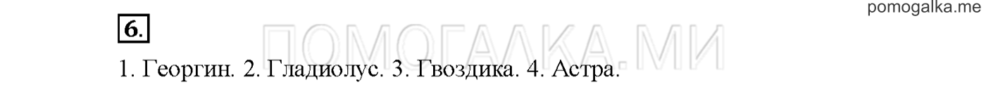 Упражнение №6 страница 7 — решение 1