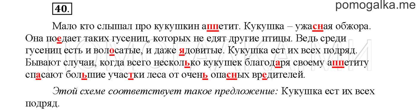 Упражнение №40 страница 17 — решение 1