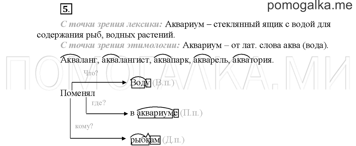 Упражнение №5 страница 109 — решение 1