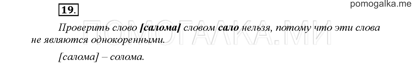 Упражнение №19 страница 95 — решение 1