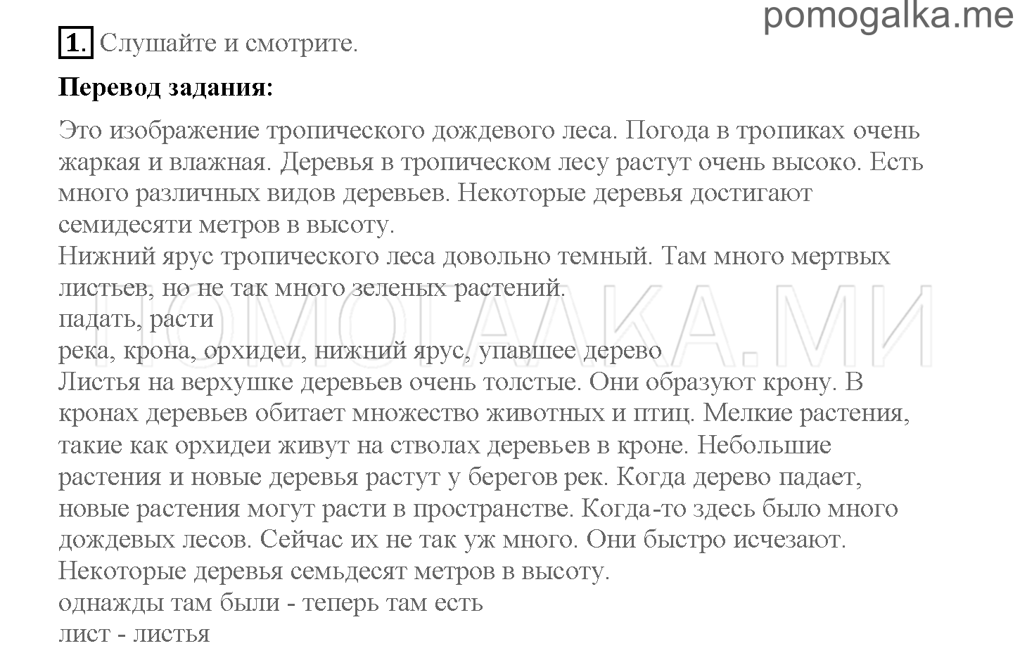 Часть 1. Страница 34-41. 5. What do you know about rain forests?. Задание №1 — решение 1