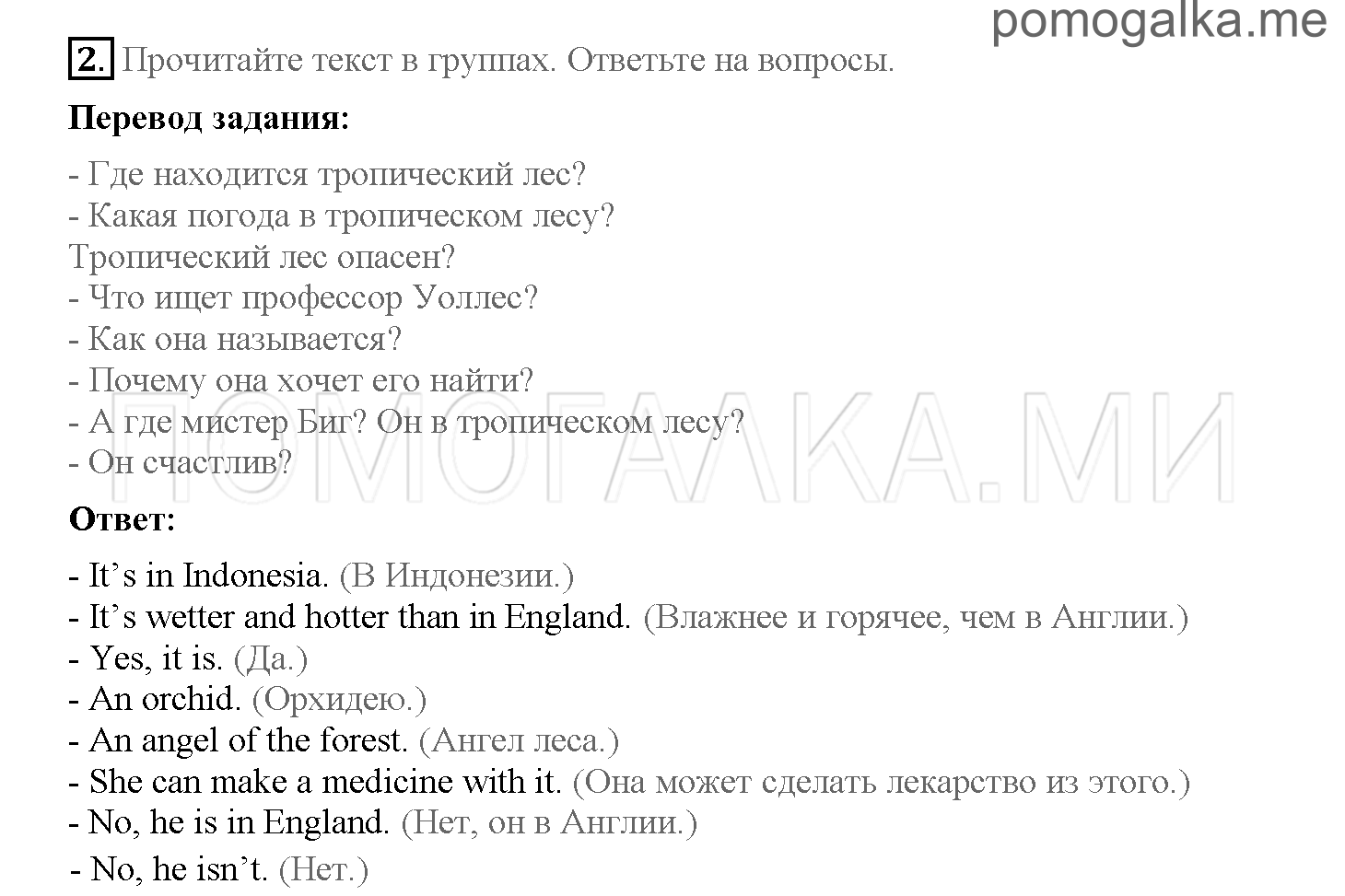 Часть 2. Страница 12-19. 11. The Angel of the Forest. Задание №2 — решение 1
