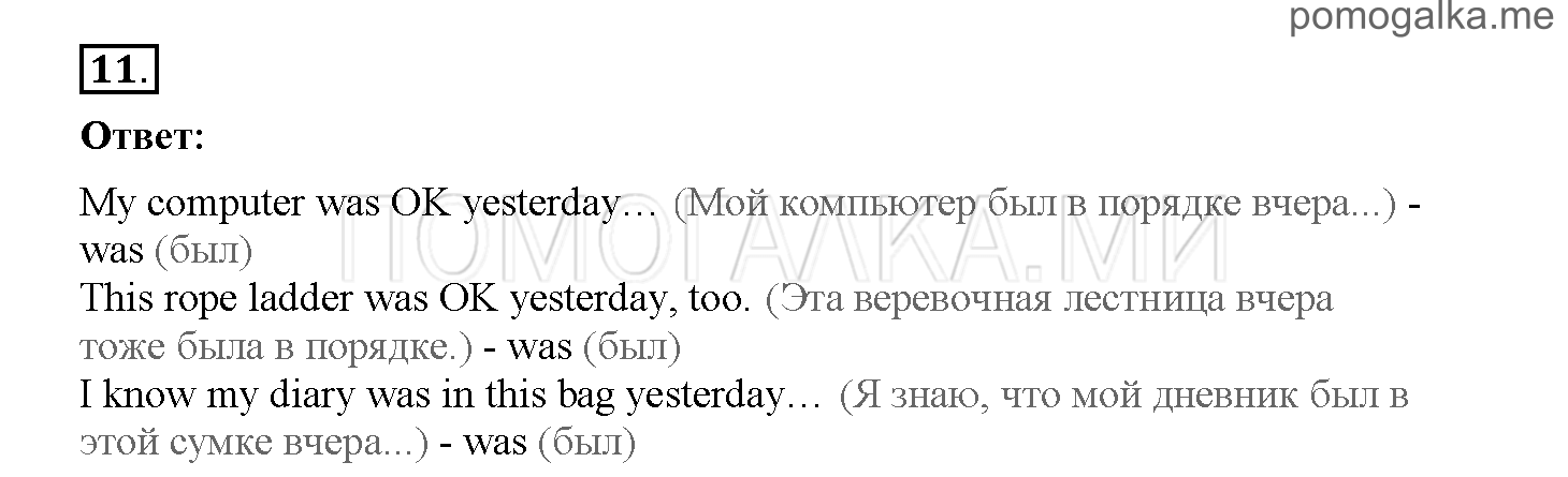Часть 1. Страница 24-32. 4. In the rain forest. Задание №11 — решение 1