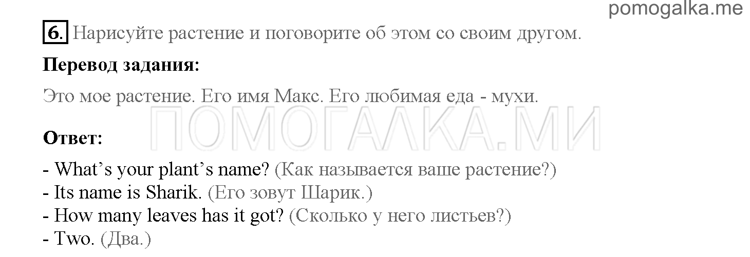Часть 1. Страница 34-41. 5. What do you know about rain forests?. Задание №6 — решение 1