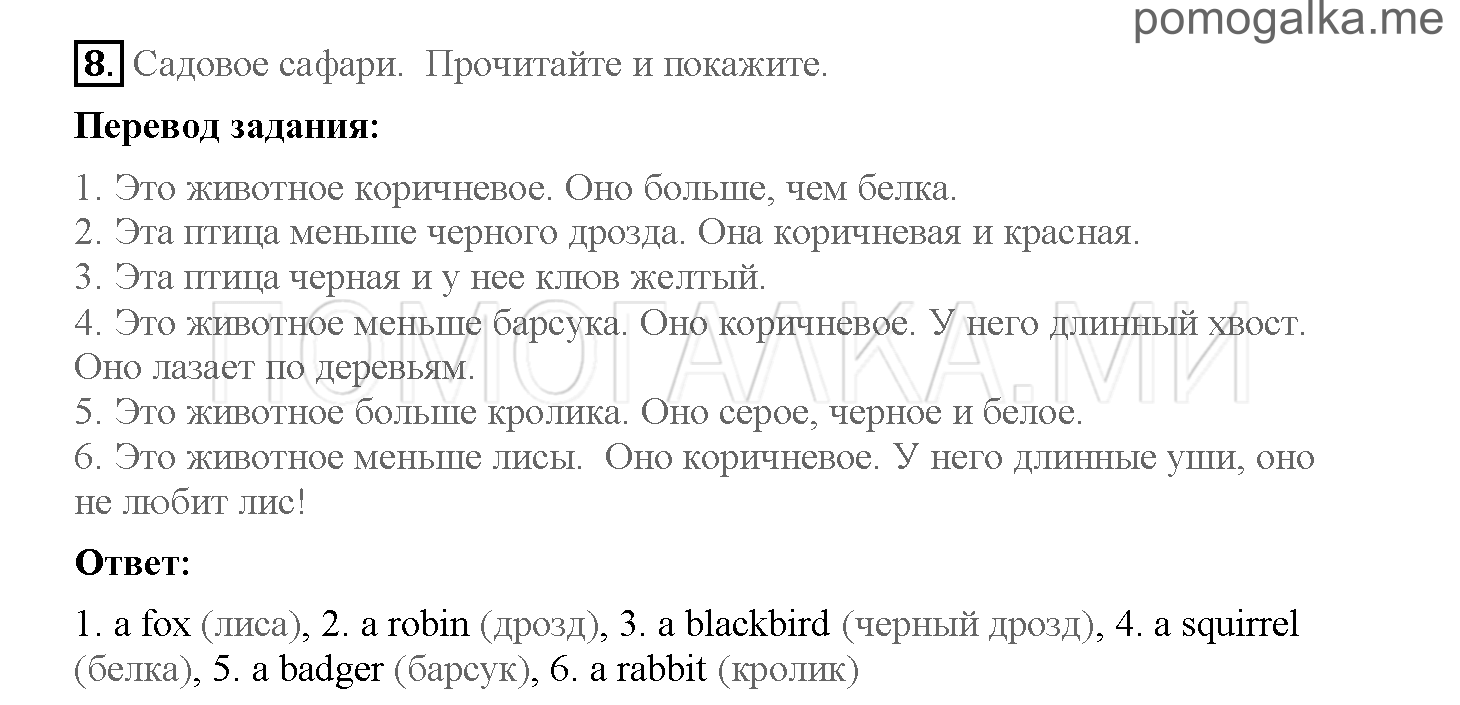 Часть 2. Страница 12-19. 11. The Angel of the Forest. Задание №8 — решение 1