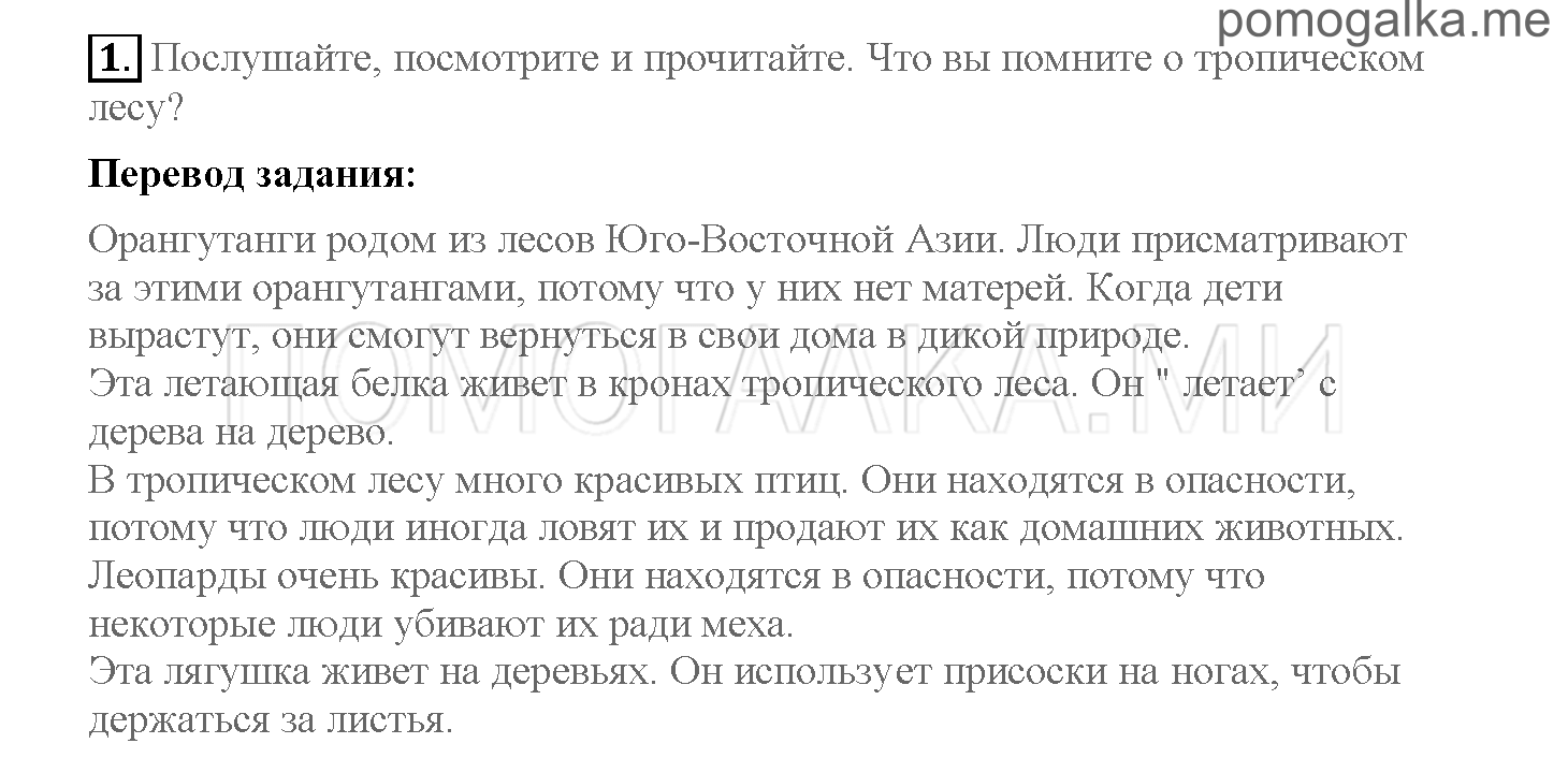 Часть 2. Страница 68-69. 17. Life in the rain forest. Задание №1 — решение 1