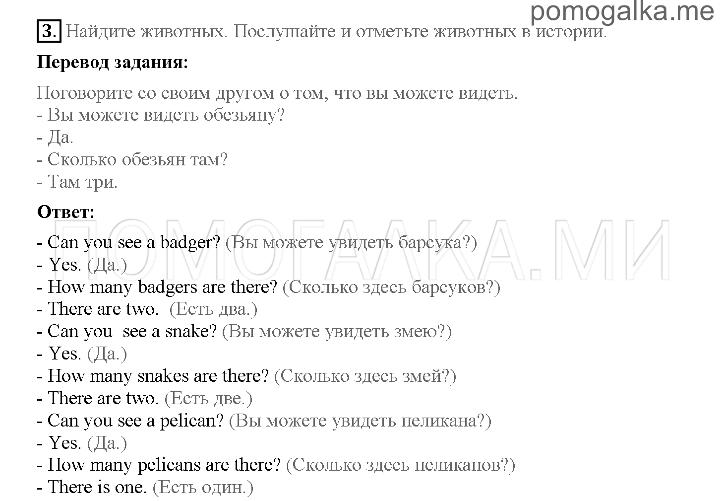 Часть 1. Страница 24-32. 4. In the rain forest. Задание №3 — решение 1