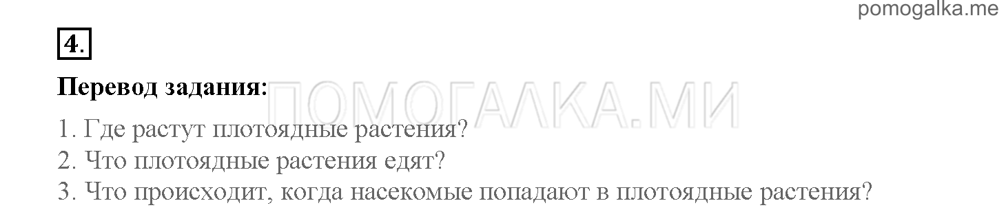 Часть 1. Страница 34-41. 5. What do you know about rain forests?. Задание №4 — решение 1