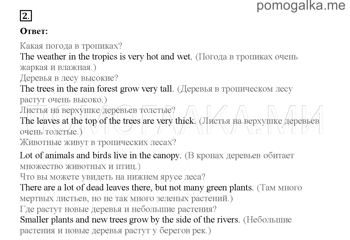 Часть 1. Страница 34-41. 5. What do you know about rain forests?. Задание №2 — решение 1