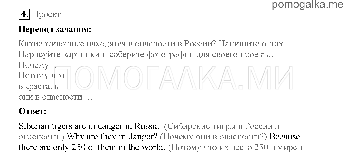 Часть 2. Страница 68-69. 17. Life in the rain forest. Задание №4 — решение 1