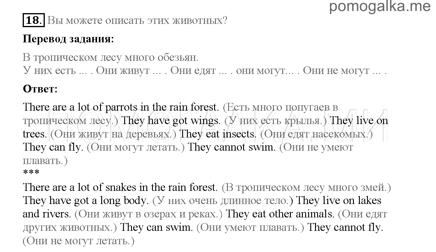 Часть 1. Страница 24-32. 4. In the rain forest. Задание №18 — решение 1