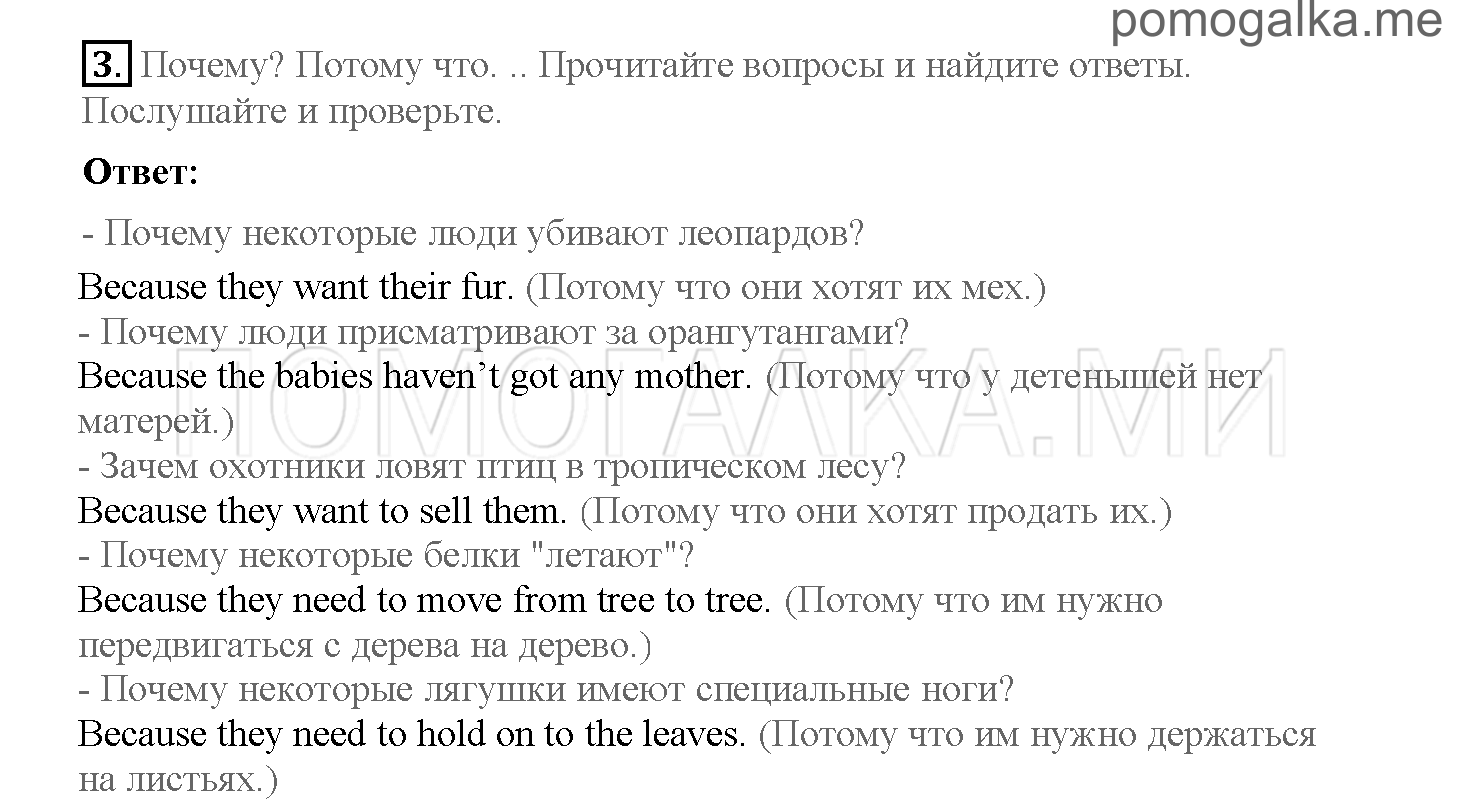 Часть 2. Страница 68-69. 17. Life in the rain forest. Задание №3 — решение 1