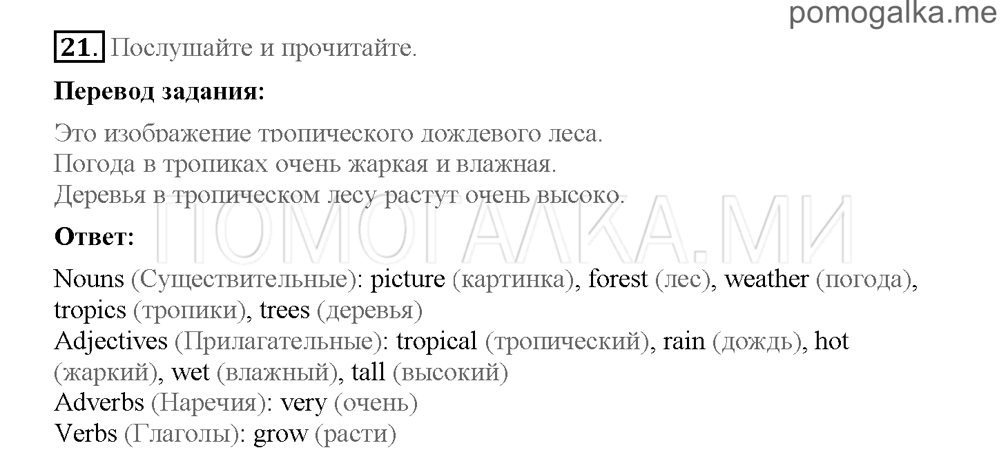 Часть 1. Страница 34-41. 5. What do you know about rain forests?. Задание №21 — решение 1