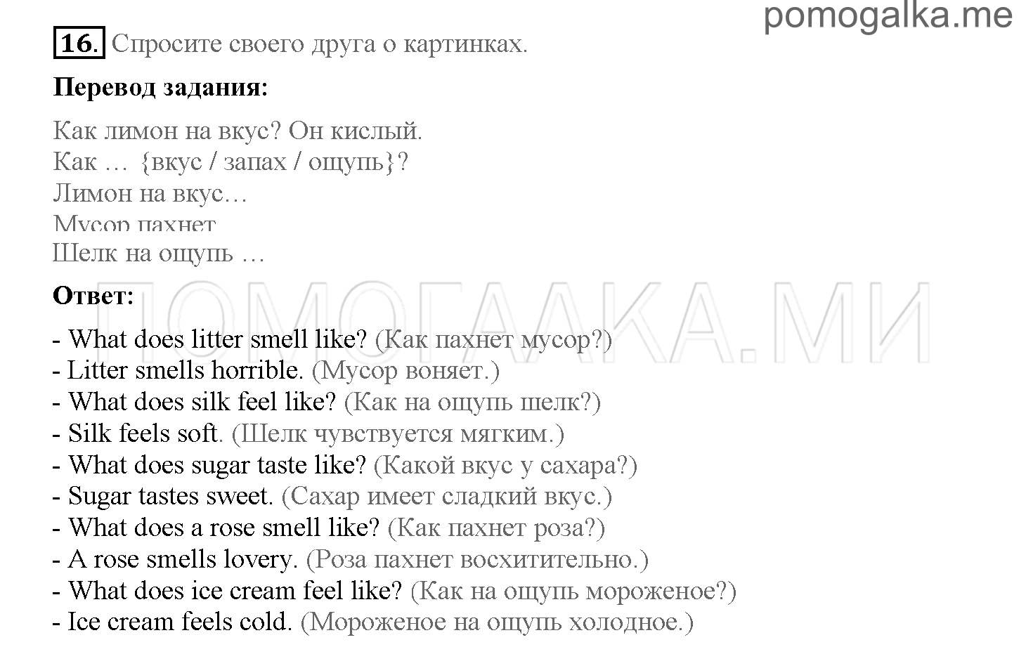 Часть 2. Страница 12-19. 11. The Angel of the Forest. Задание №16 — решение 1