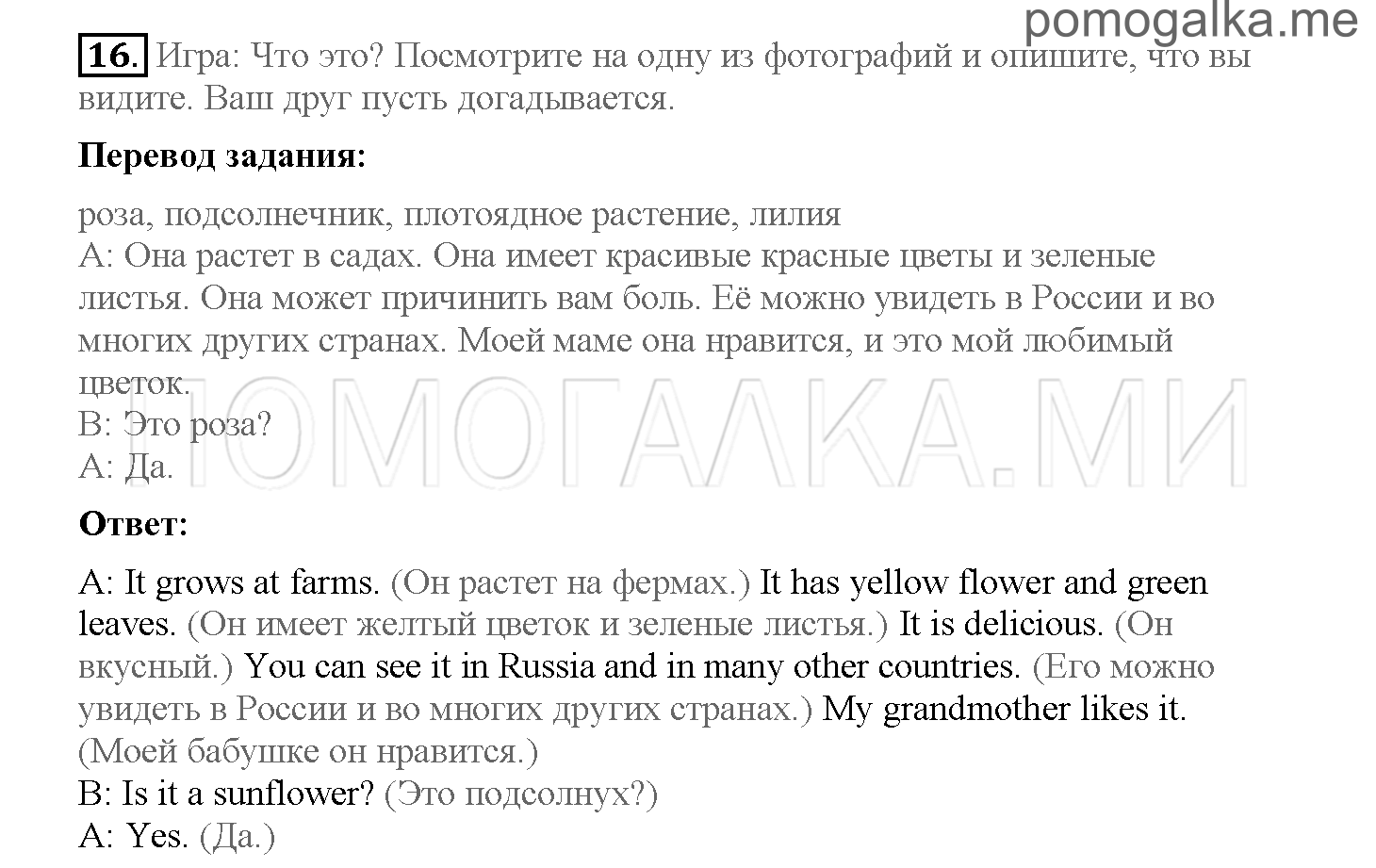 Часть 1. Страница 34-41. 5. What do you know about rain forests?. Задание №16 — решение 1